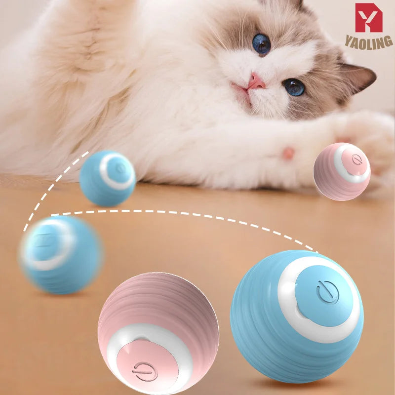 Cat Interactive Ball