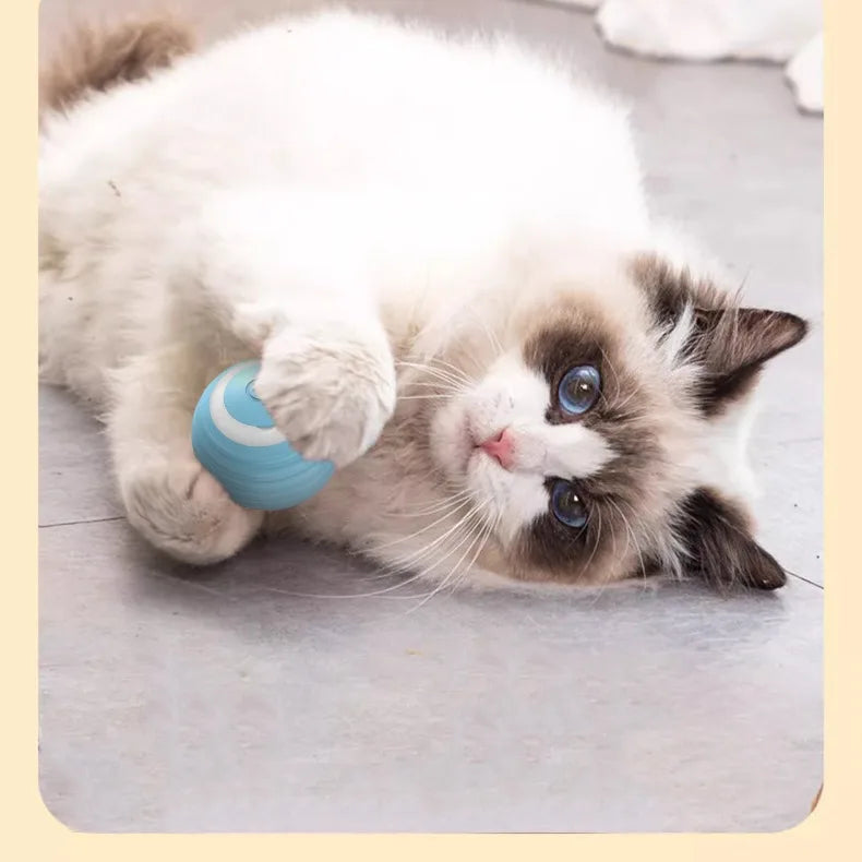 Cat Interactive Ball