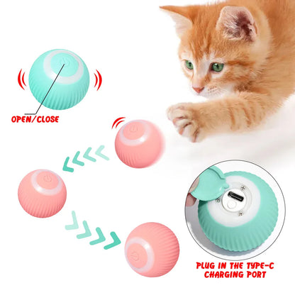 Cat Interactive Ball