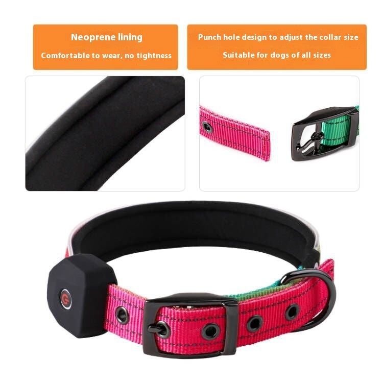 LED Dog Collar