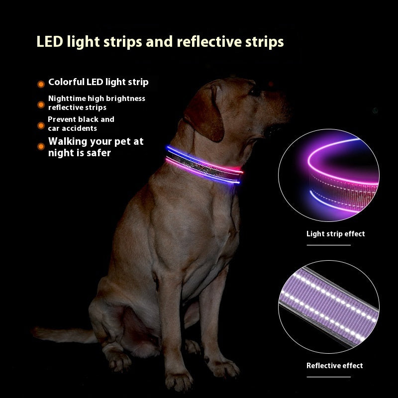 LED Dog Collar